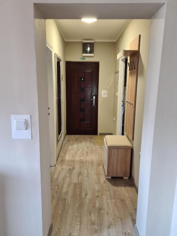 Apartman Petrov Donji Milanovac Kültér fotó