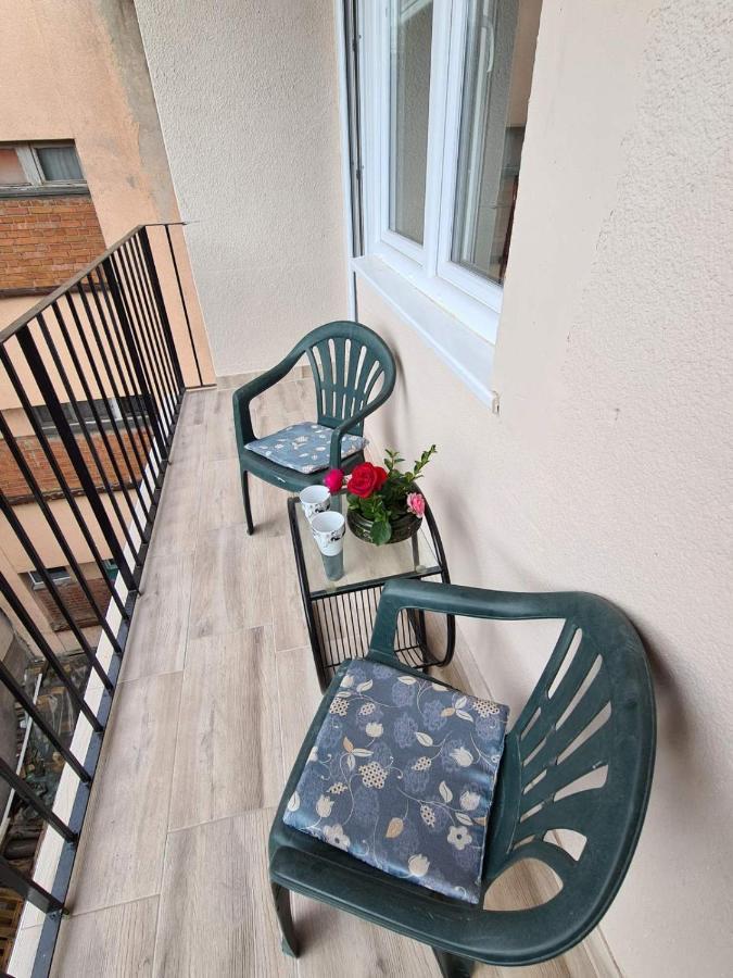 Apartman Petrov Donji Milanovac Kültér fotó